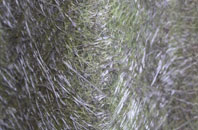 Clough fibreglass roof work